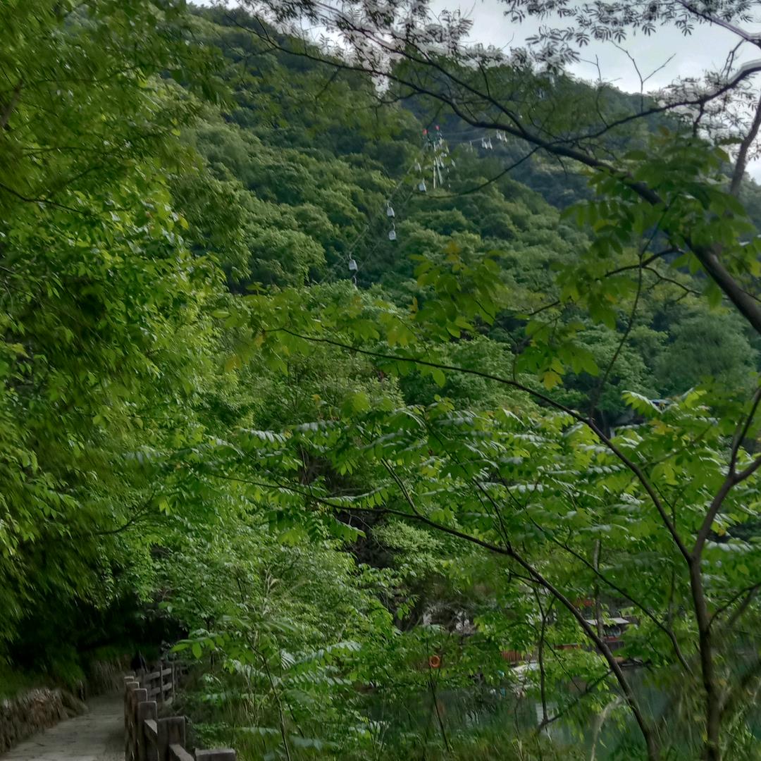 @🌹爱你🌹一生💞一世