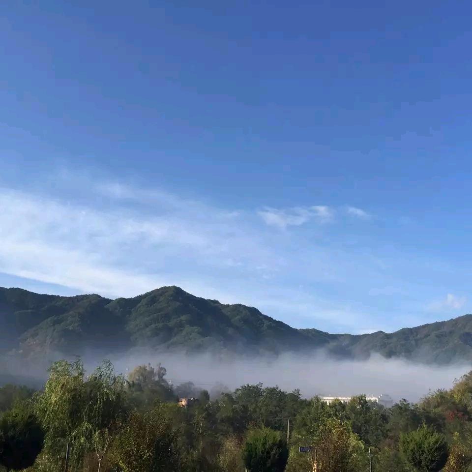 宝鸡刘教练