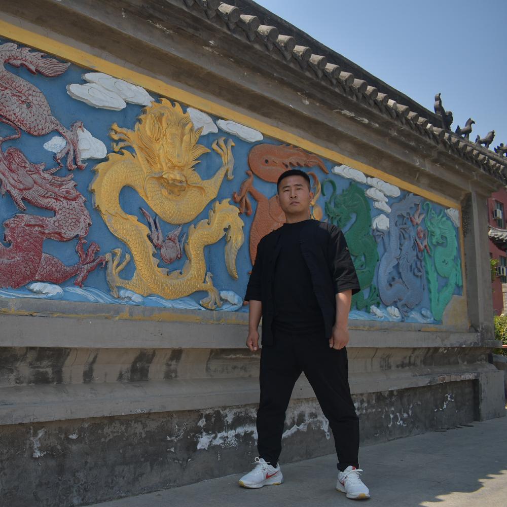 功夫文武王教练