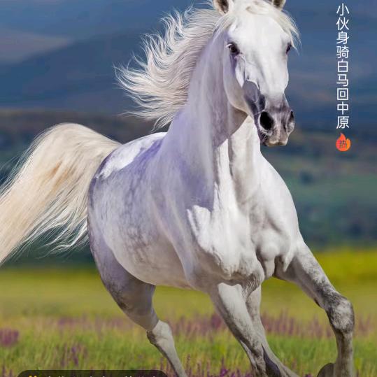 阳光17953