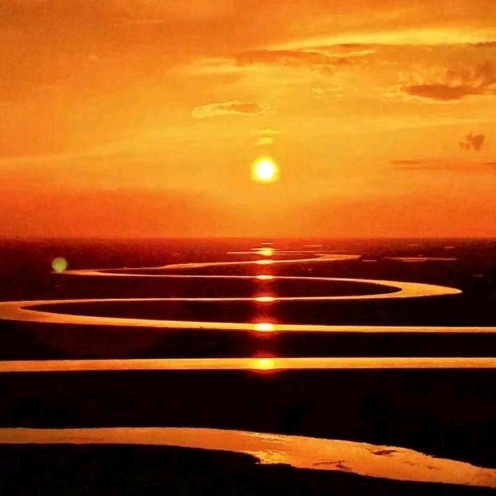 夕阳红