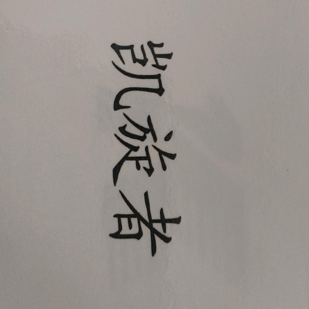 凯旋者箱包定制