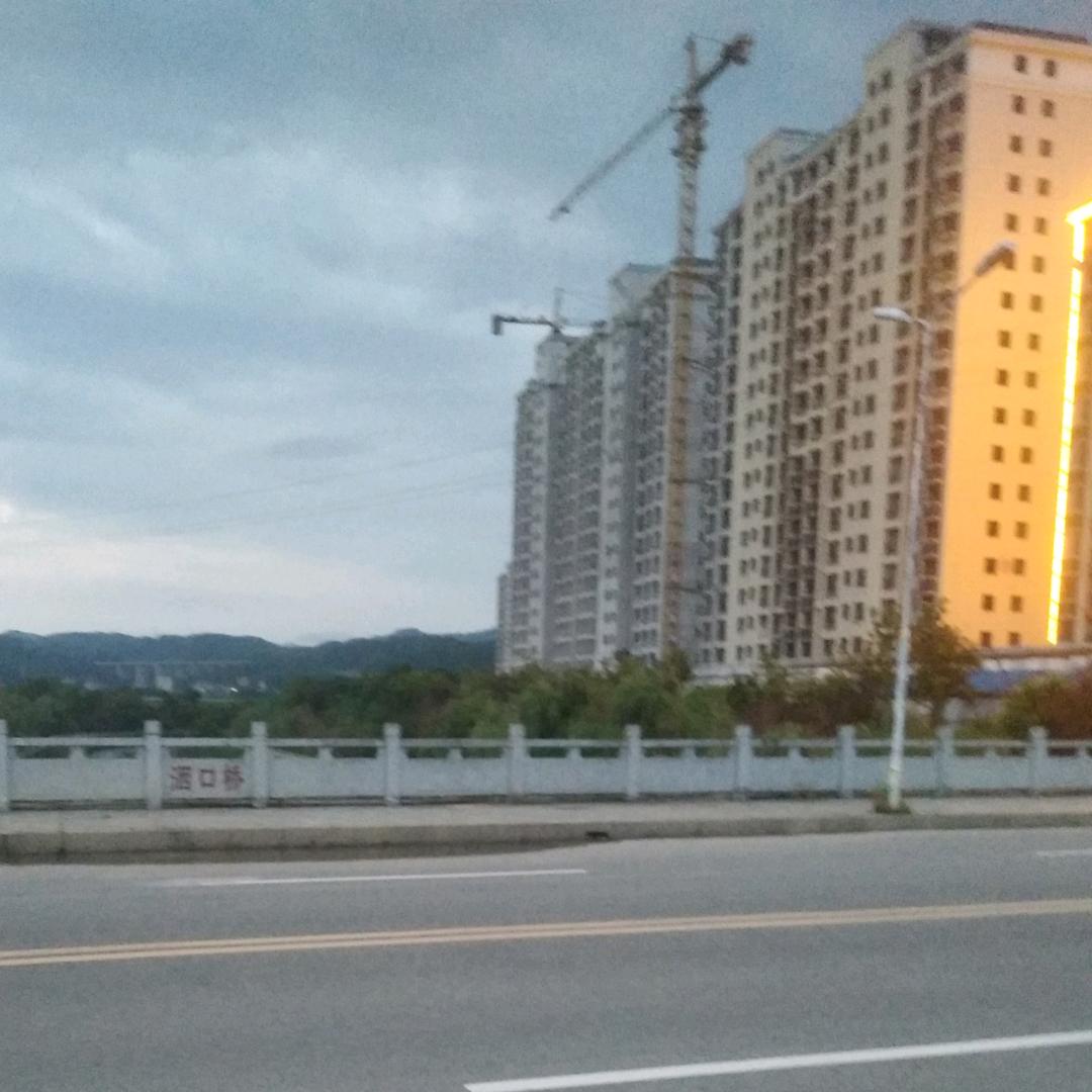 来自南方的梅