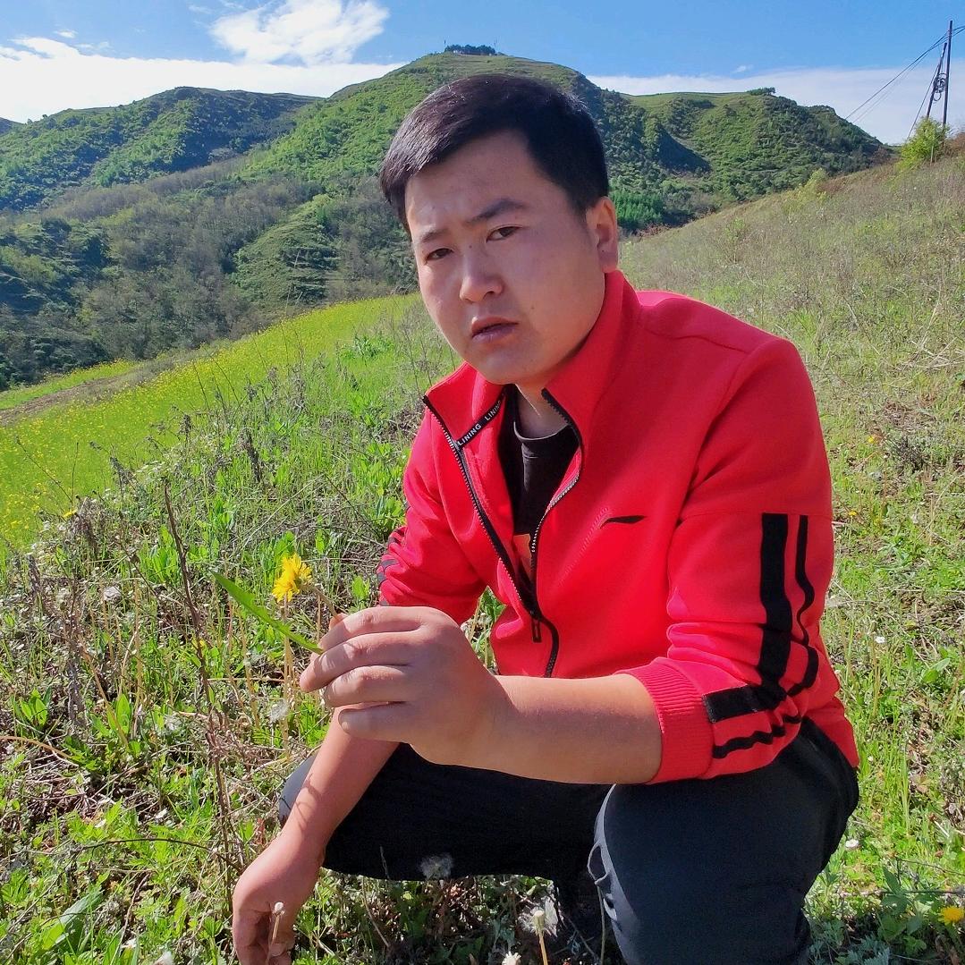 甘肃本草-张宏