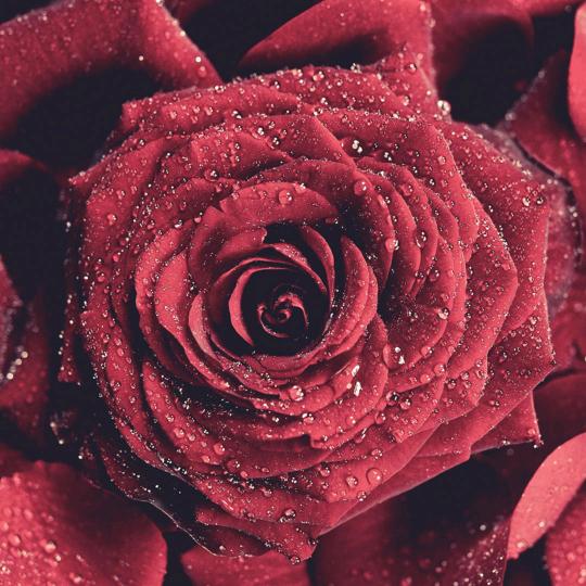 自学中医的每天