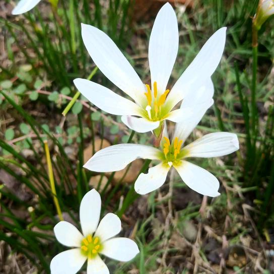 ％……爱……自……己