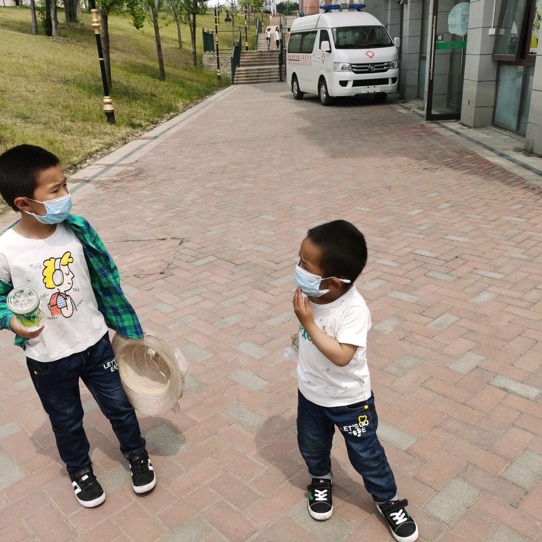 毛毛(73131—51)