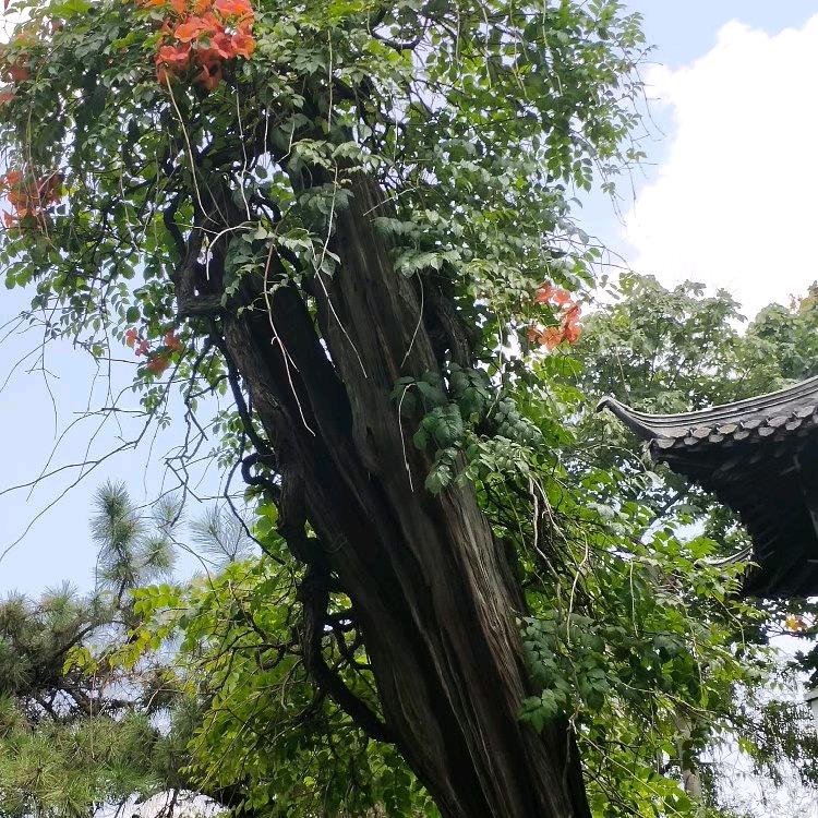 刚刚好