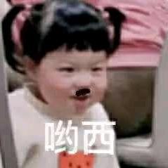夜雨花听