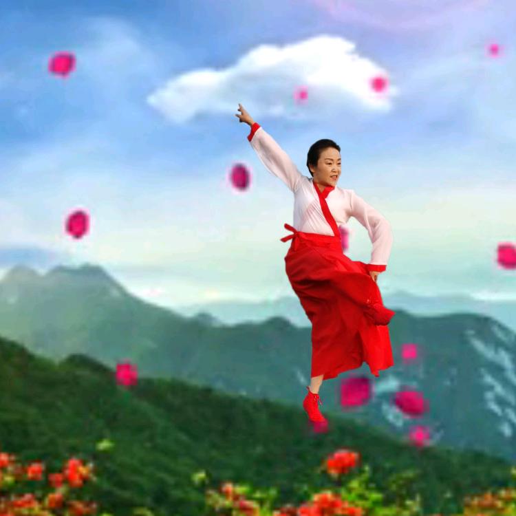 陕西腊梅