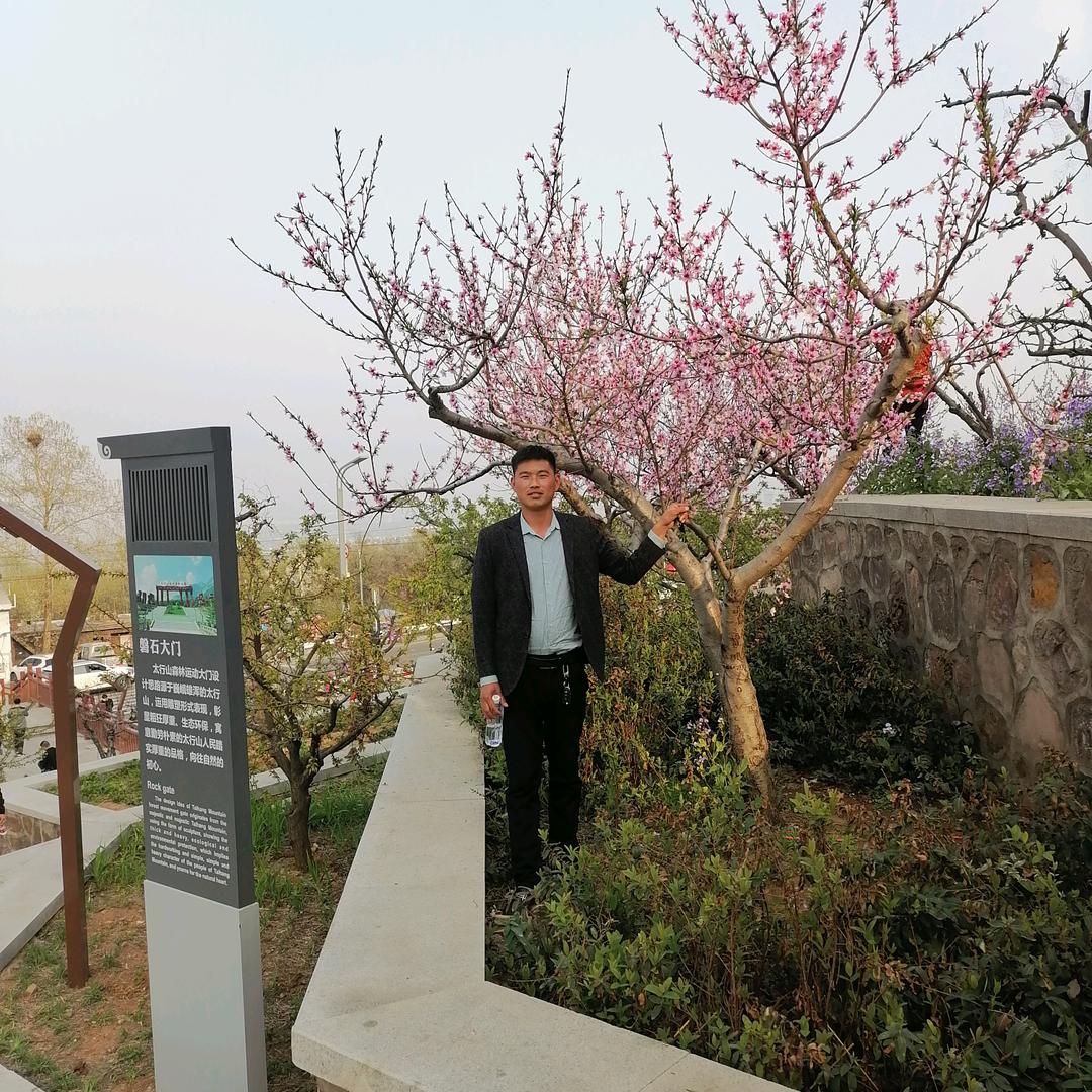 山西光盛达装饰有限公司