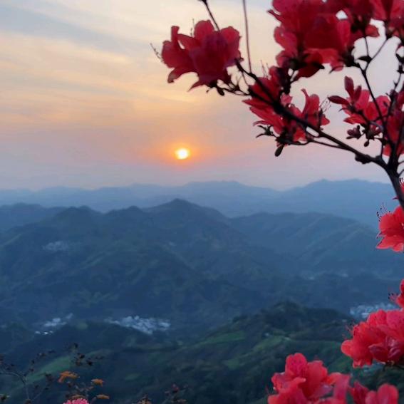 隹山子