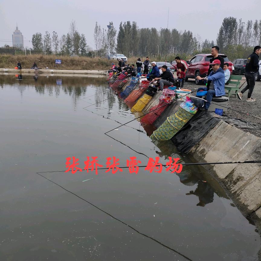 襄阳张桥张雷钓场丹姐