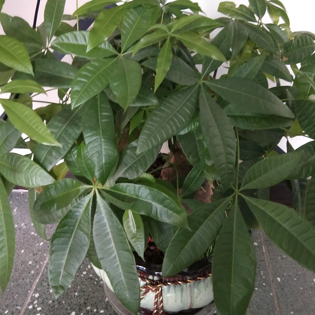 风雨同舟( ˙˘˙ )