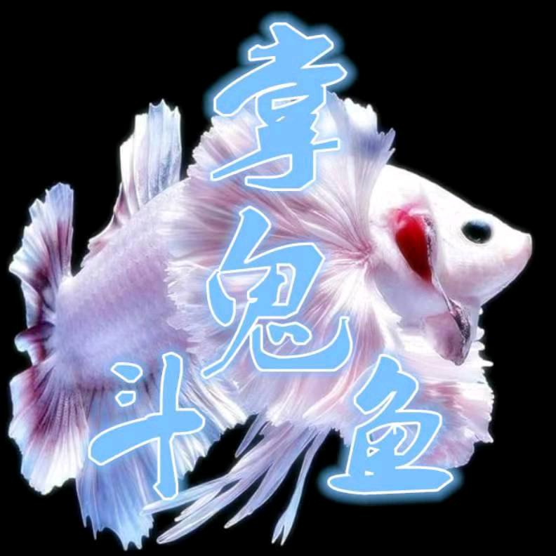 鱼跃泰斗