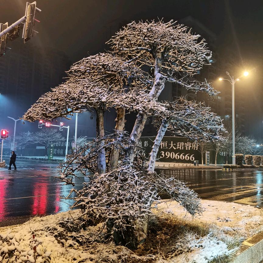 高金要