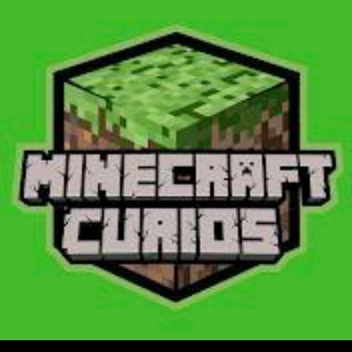 MinecraftCurious