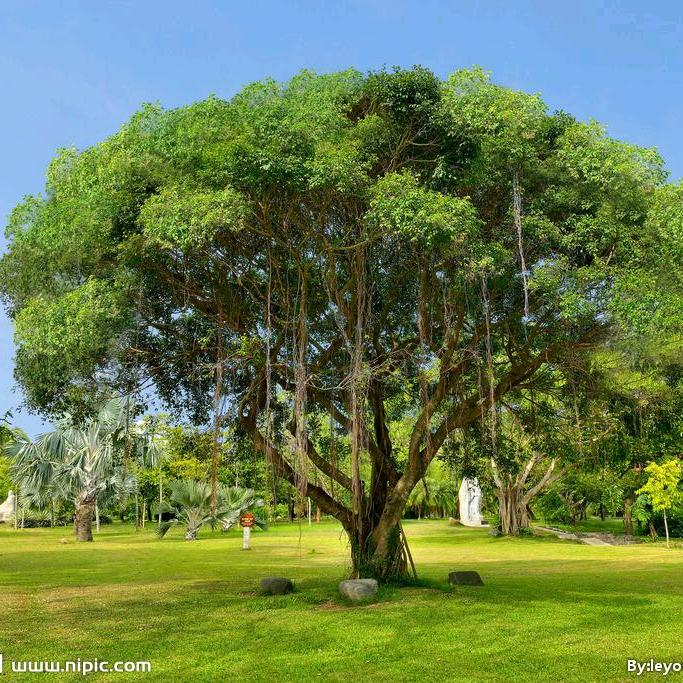 广西润萌生态农业