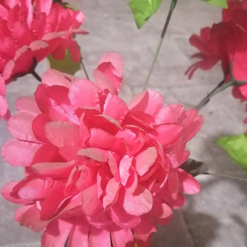 人生如茶