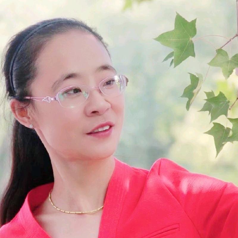 萤火虫（台湾一条根代理）