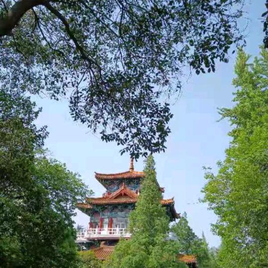 诚信