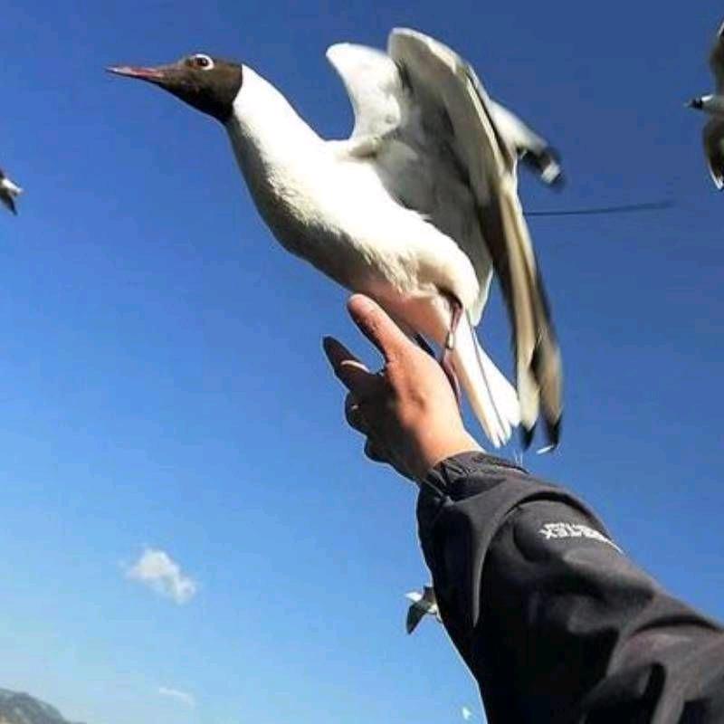农村生活随辑