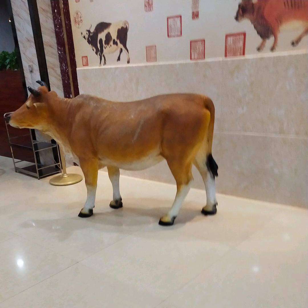 德哥牛肉