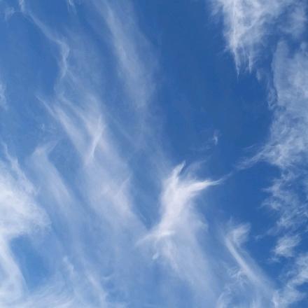 拉荣扎西,邓新华