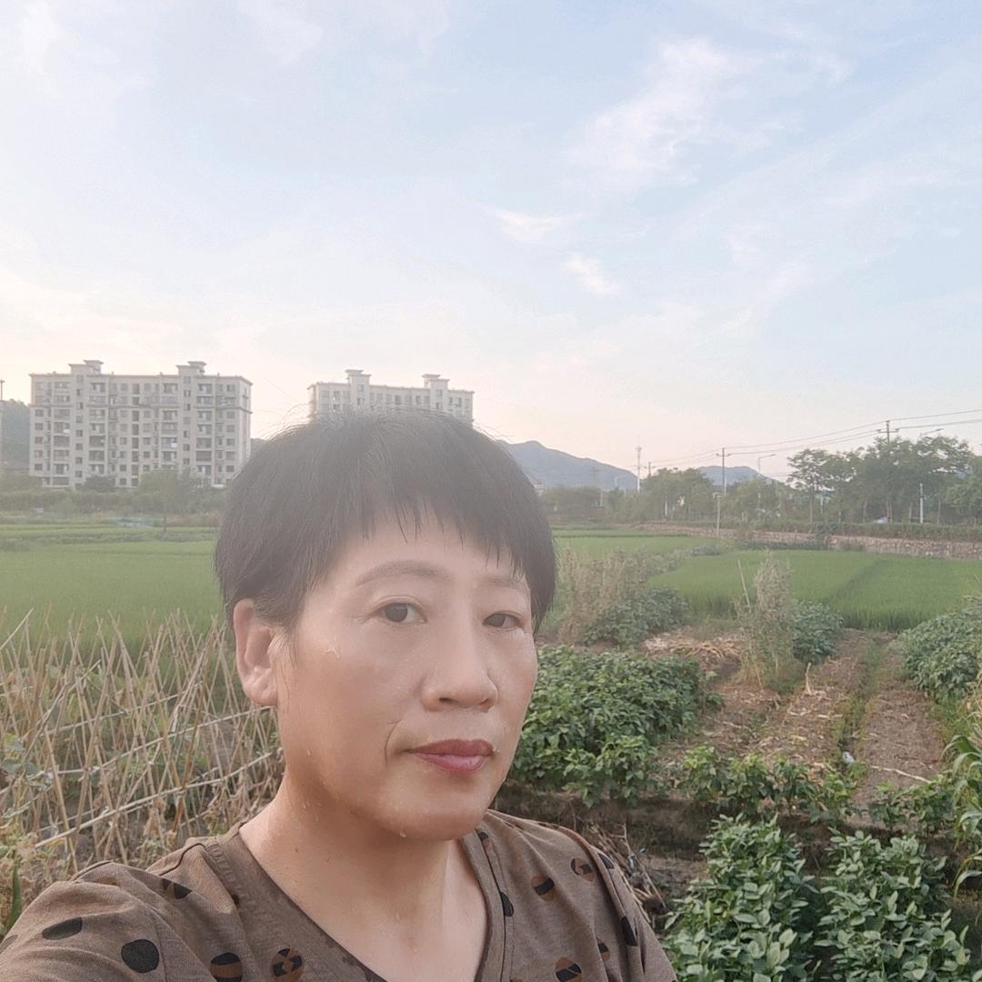 岭虹围