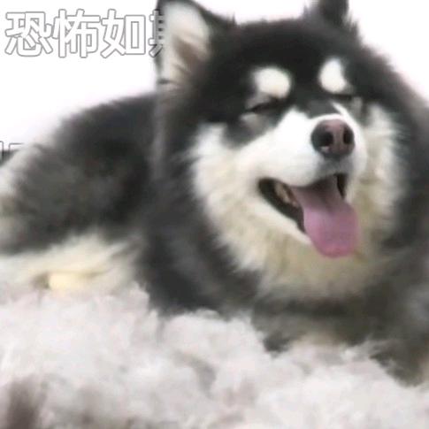 二十四点的饿霸