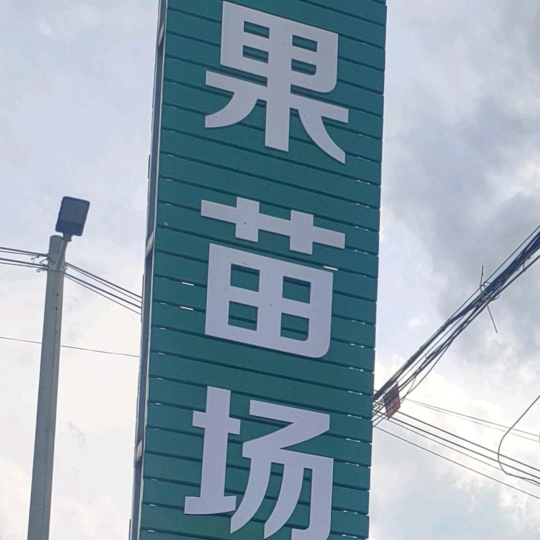 惠州  顺利果苗场