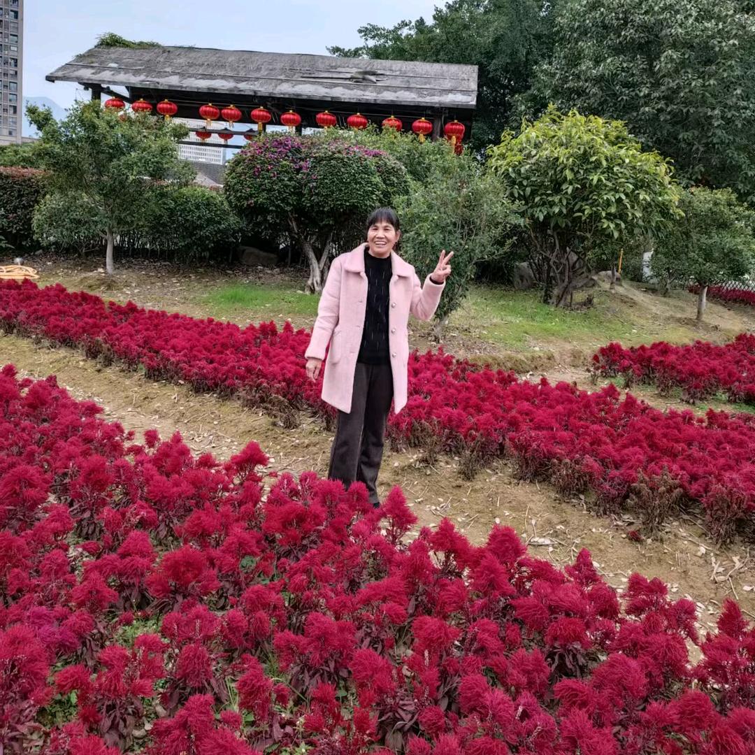 林珠珠