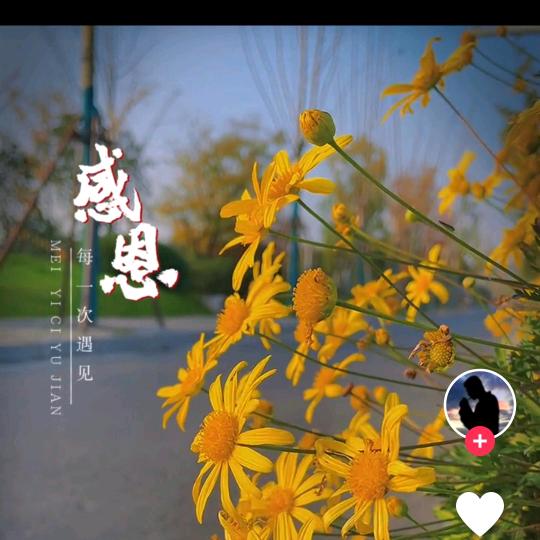 靖儿