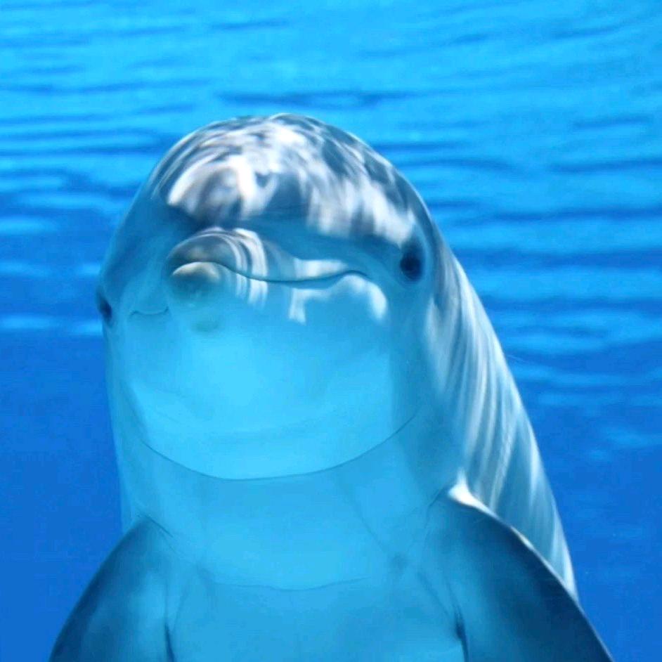 超超超可爱的我