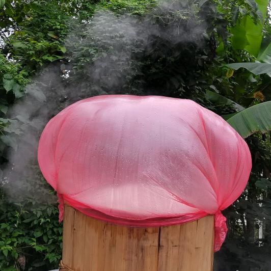 🥦《你永远不懂我》🥬