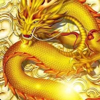 （中國龍）枞阳市 义津区 北圣路888号