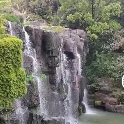 珍贵的团圆