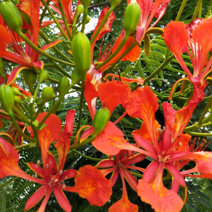 时间在走~人心在变