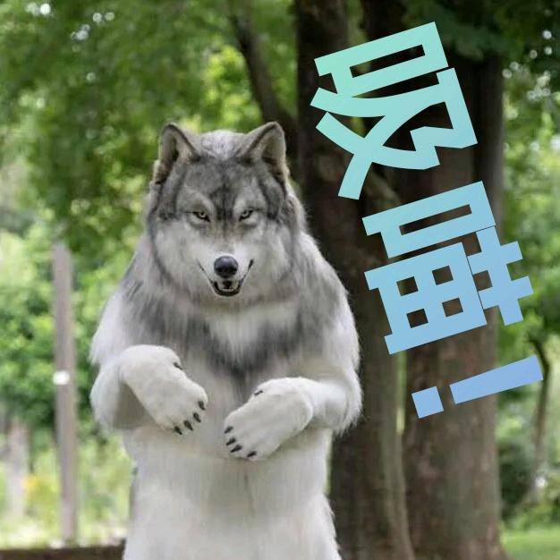 憨皮狗子