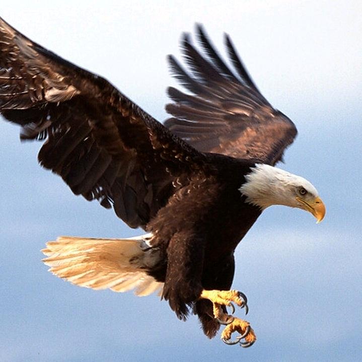 逍遥任我游（2）