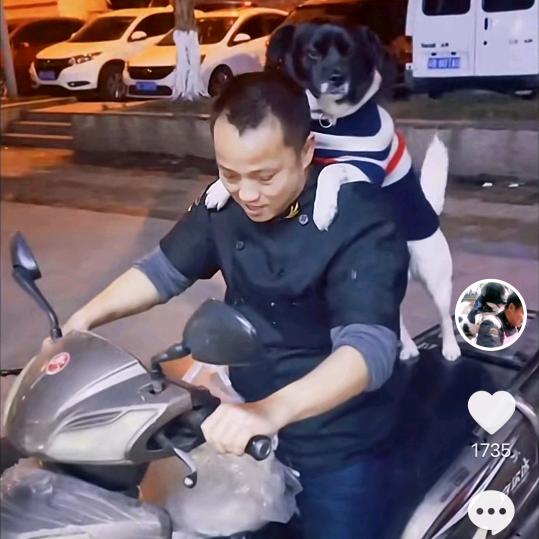 剪刀  石头  布❤️