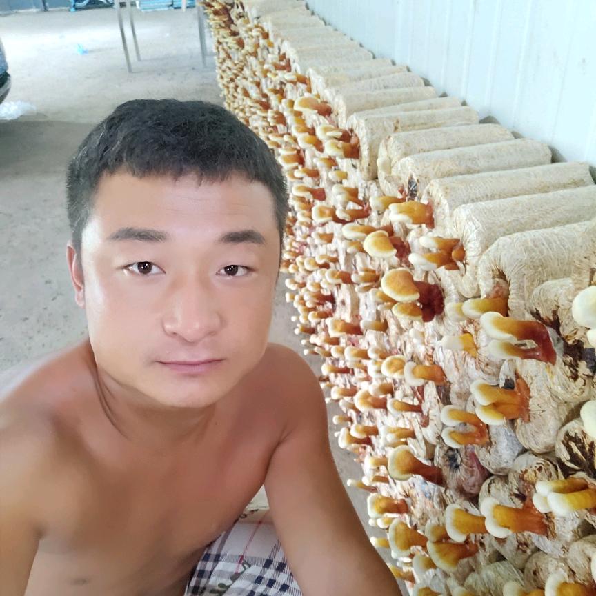 偷了你的心