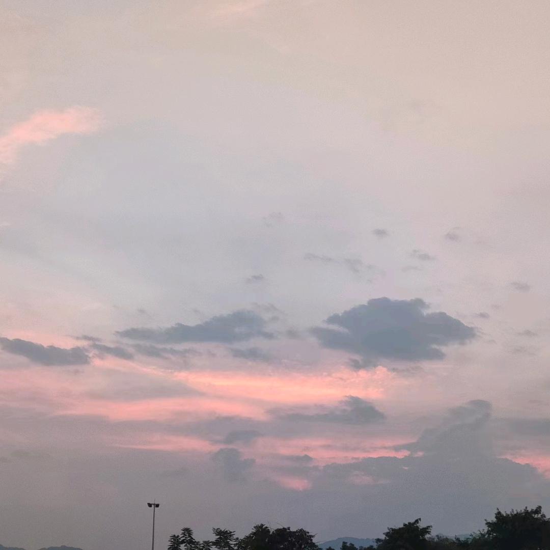 井泓好物