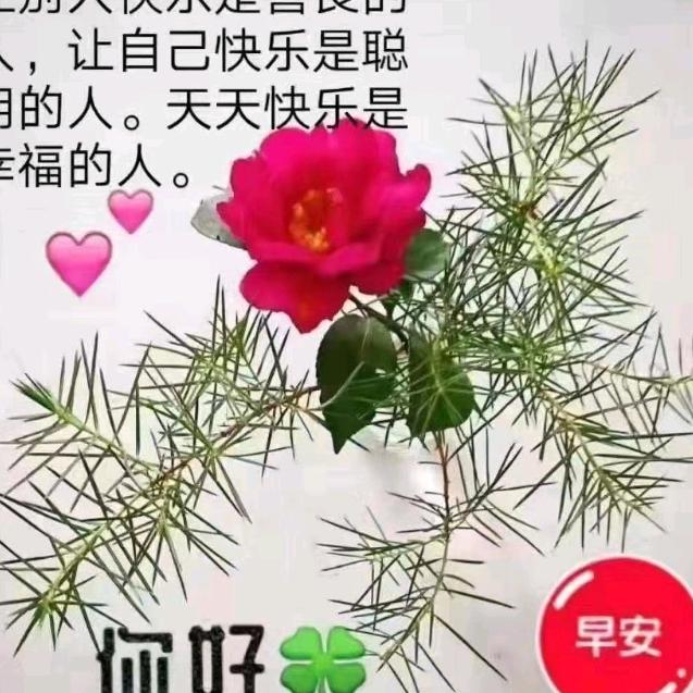 明天会更好