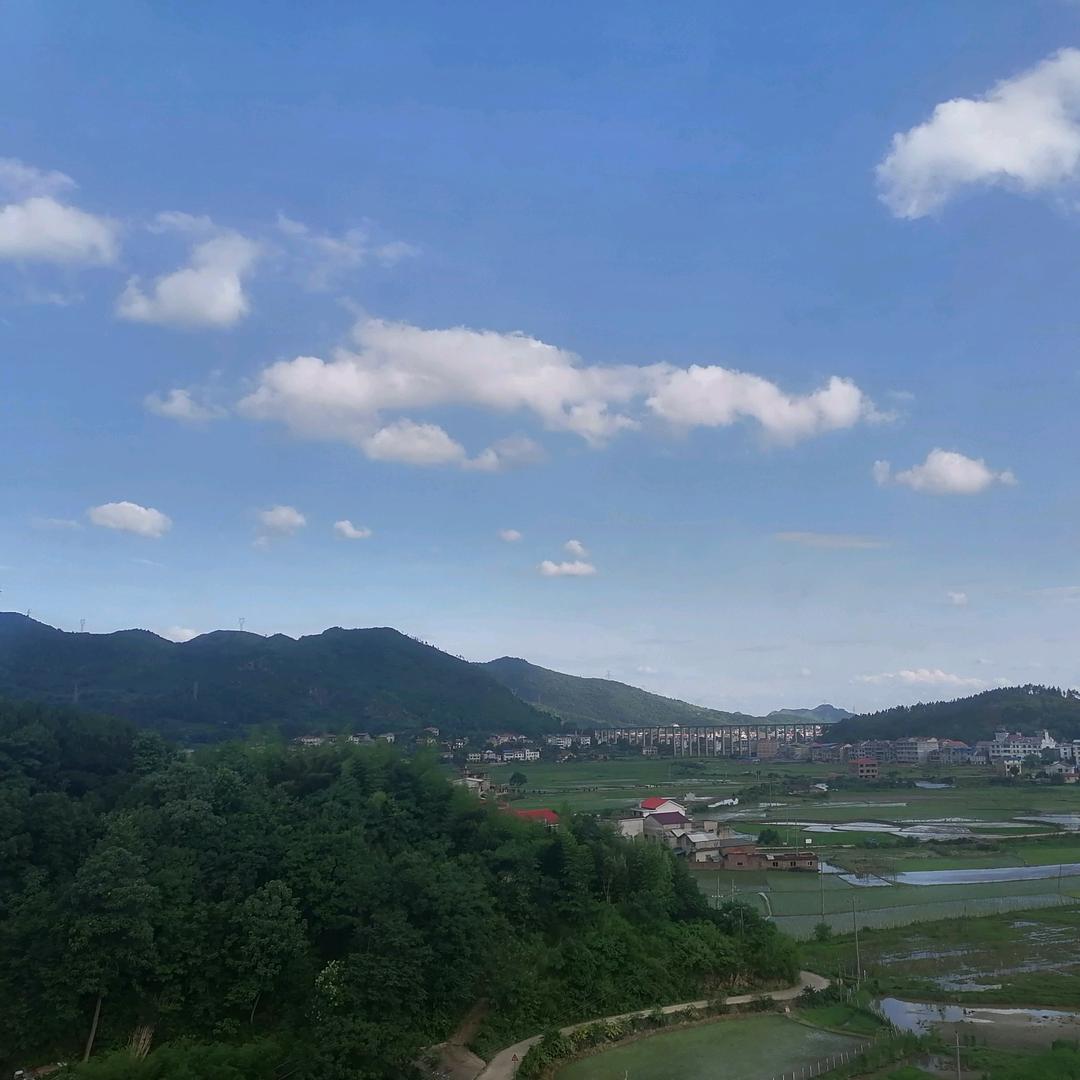 老衲法号又来