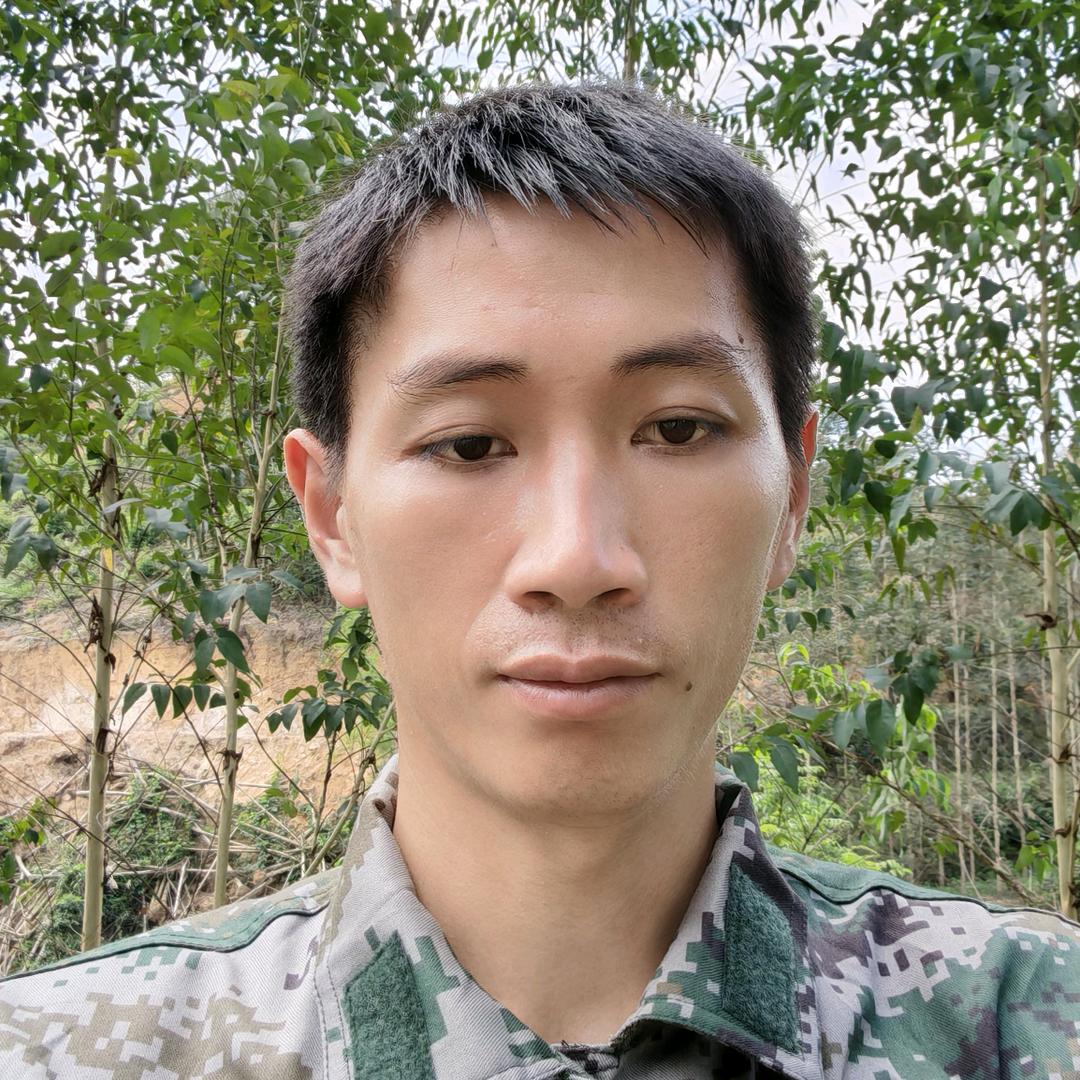 阿海寻蜂记