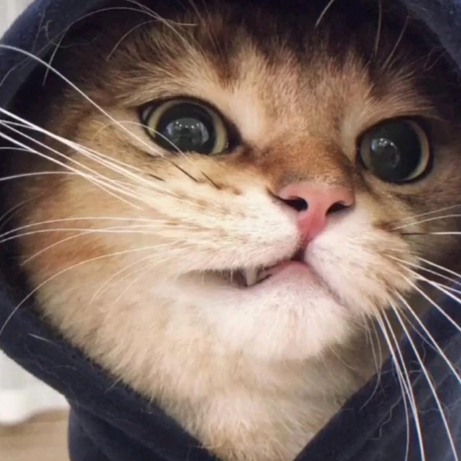 大大怪将军（MAX）