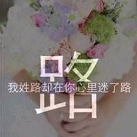 咪路迷了路