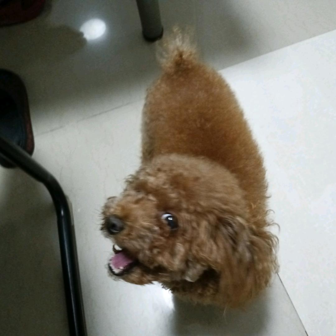叫我一哥