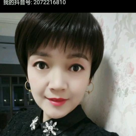 🌺🌺梅花🌺🌺